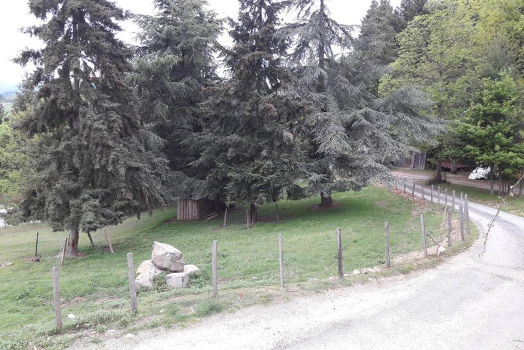 Gite Le Pilat Vernoux-en-Vivarais Dış mekan fotoğraf